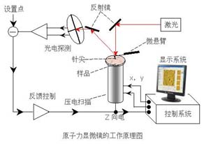 原子力显微镜工作原理