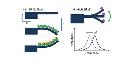 扫描式激光分析仪